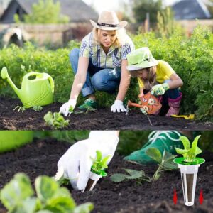 Cultivez vos légumes chez vous – Image 4