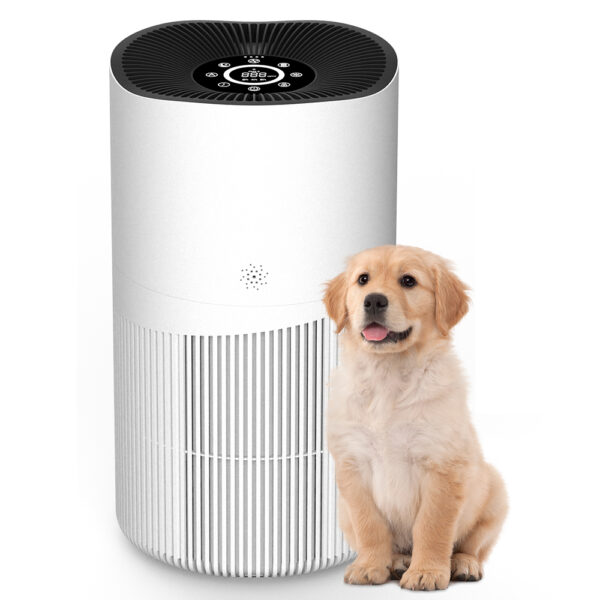 Aspirateur d’Air Anti-Poils — Spécial Animaux